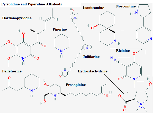 See diagram Pyrrolid3: Ricinine