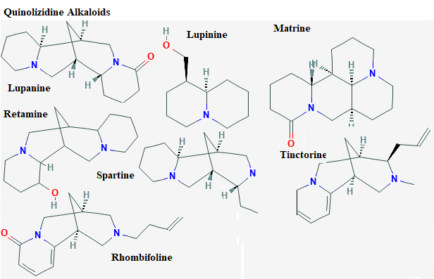 See diagram Quinol2: Retamine