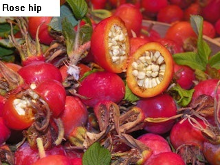 See diagram Rosehip1: Rose hip