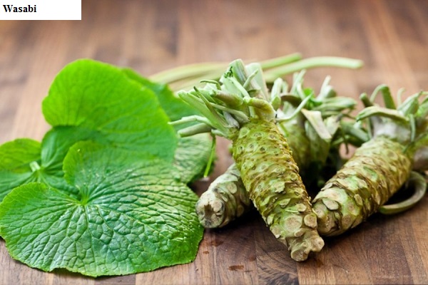 See diagram: Wasabi